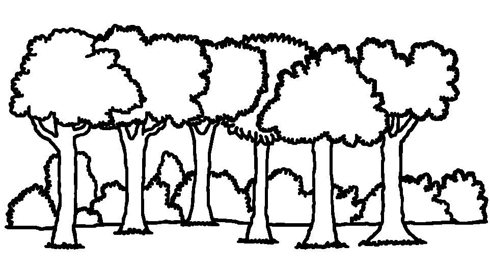 Forest Trail Clipart Black And White Forest Trail Colouring Pages