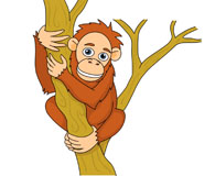 Free Orangutan Clipart   Clip Art Pictures   Graphics   Illustrations