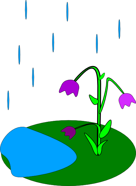 Rain Flowers Clip Art At Clker Com   Vector Clip Art Online Royalty