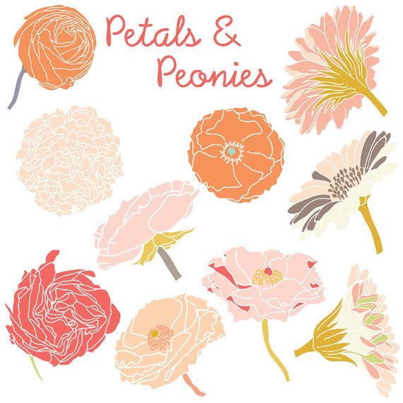 Petals   Peonies Clip Art   Vector File