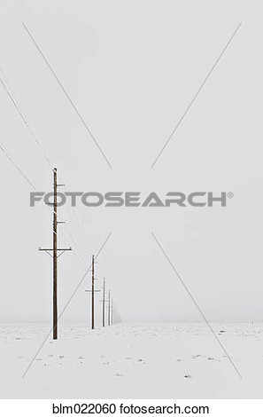 Telephone Poles In The Snow View Large Photo Image