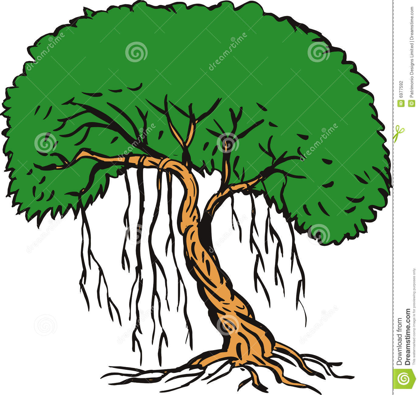 Jungle Trees And Vines Clip Art Tree With Vines