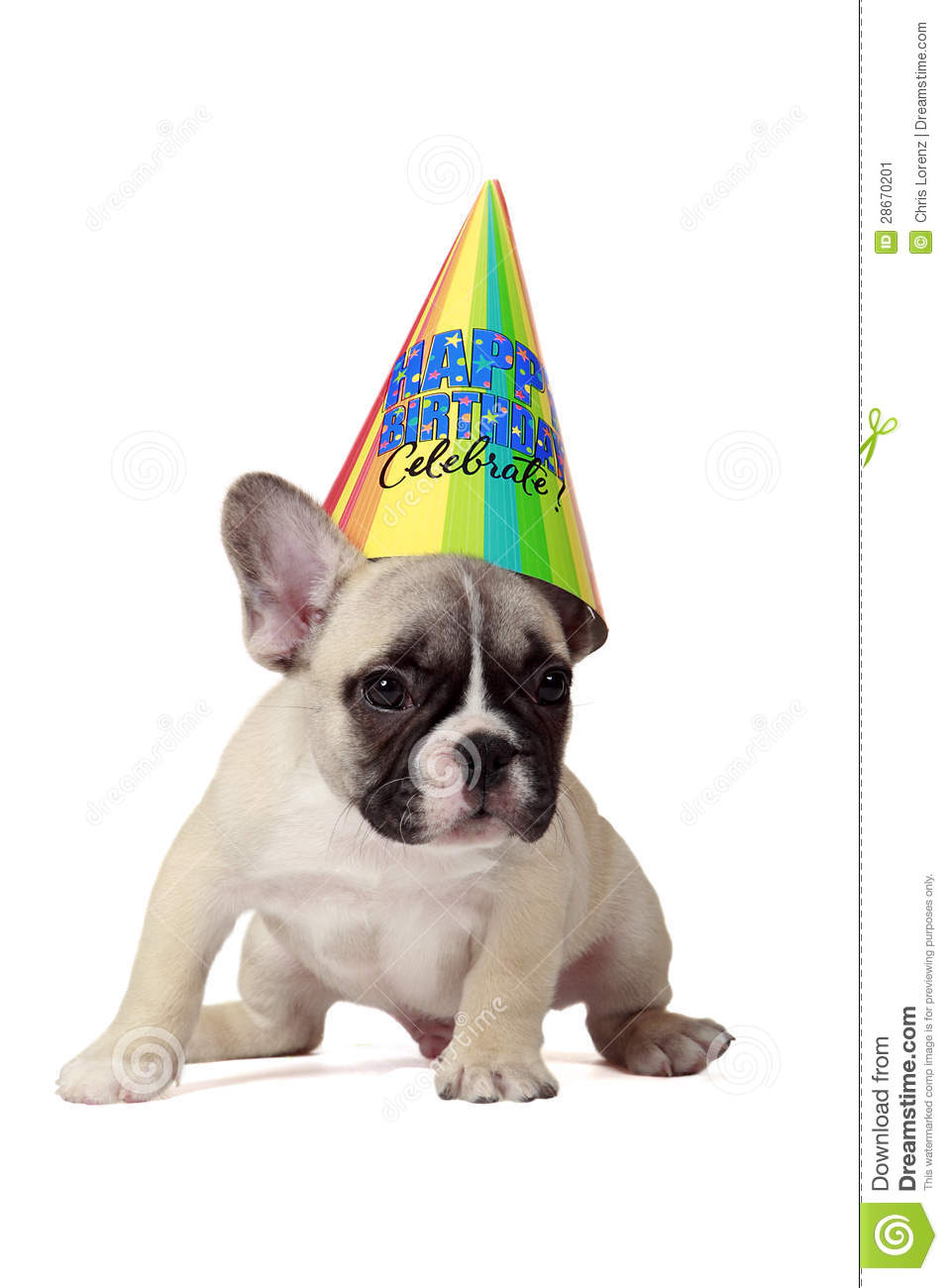 Puppy Birthday Clipart Happy Birthday Puppy