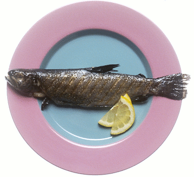 Grilled Fish   Http   Www Wpclipart Com Food Seafood Grilled Fish Png