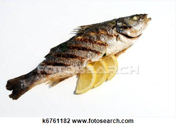 Stock Photo Of Grill Cooked Fish With Lemon Slices On White Background