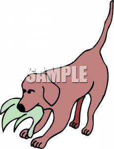 Dog Toy Clip Art Dog Chew Toy Clipartdog Playing With A Chew Toy
