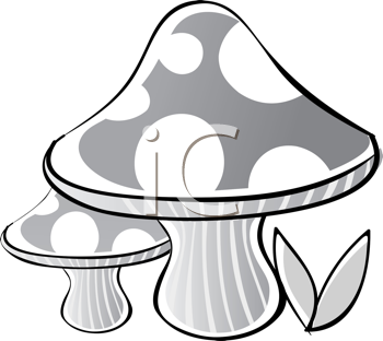 Royalty Free Mushroom Clip Art Nature And Scenic Clipart