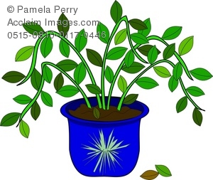 Clip Art Illustration Of A Potted House Plant Acclaim Stock Clipart