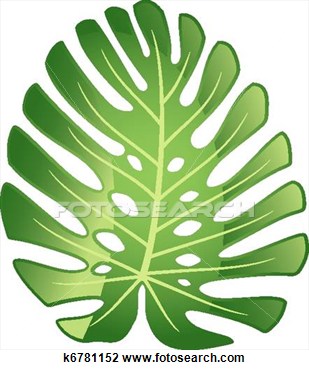 Clip Art Of Leaf Tropical Plant   Monstera  K6781152   Search Clipart
