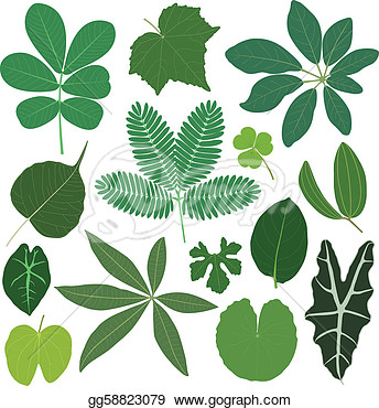 Stock   A Set Of Tropical Leaves In Color   Stock Clip Art Gg58823079