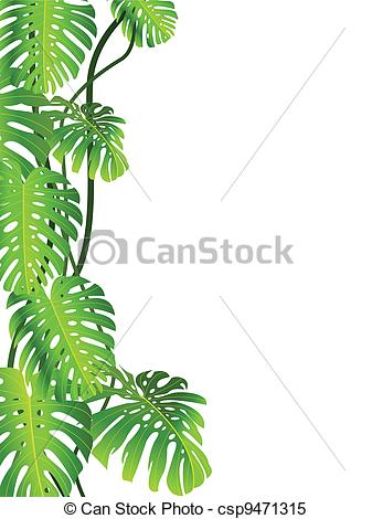 Tropical Plant Background   Csp9471315