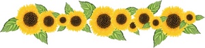 Sunflower Clip Art Images Sunflower Stock Photos   Clipart Sunflower