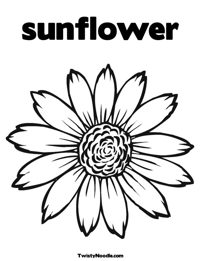 Sunflower Clip Art   Vector Clip Art Online Royalty Free   Public