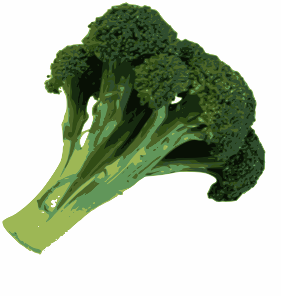 Broccoli Clip Art At Clker Com   Vector Clip Art Online Royalty Free    
