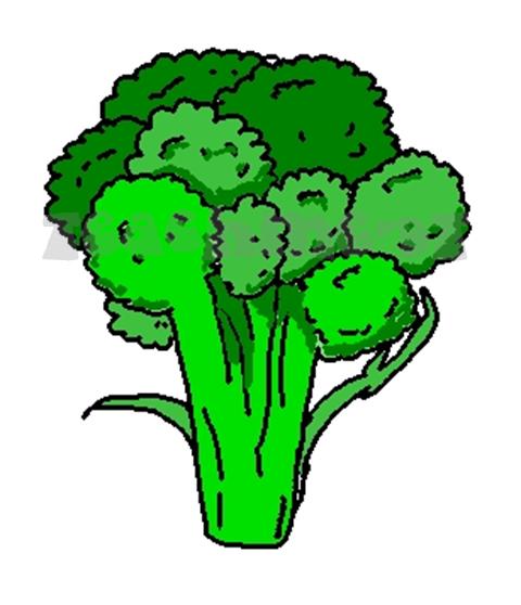 Broccoli Clip Art Broccoli Clipart