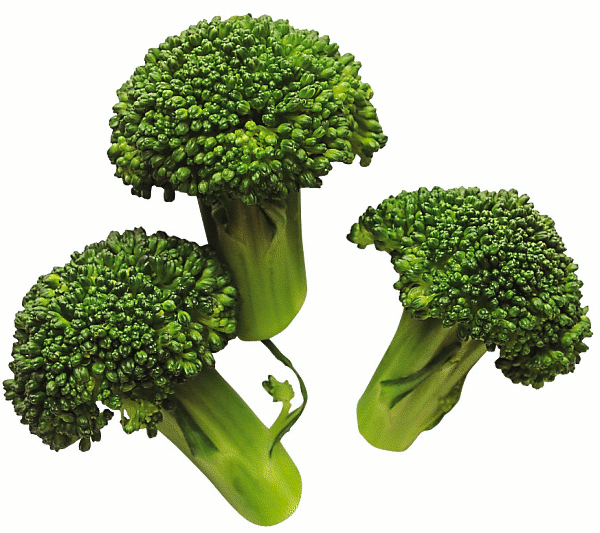 Broccoli   New Hope For Breast Cancer Sufferers  Sulforaphane