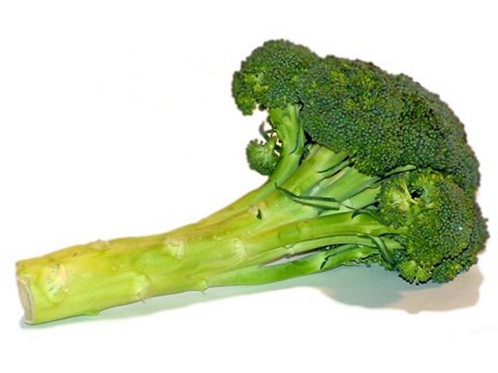Free Broccoli Clipart Pictures