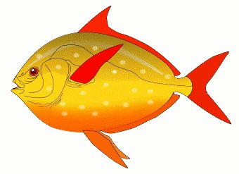 Free Red Finned Fish Clipart   Free Clipart Graphics Images And
