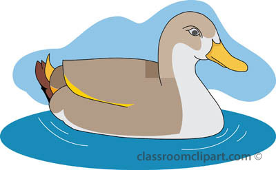 Duck Clipart   Ducks 03 Swimming Pond   Classroom Clipart
