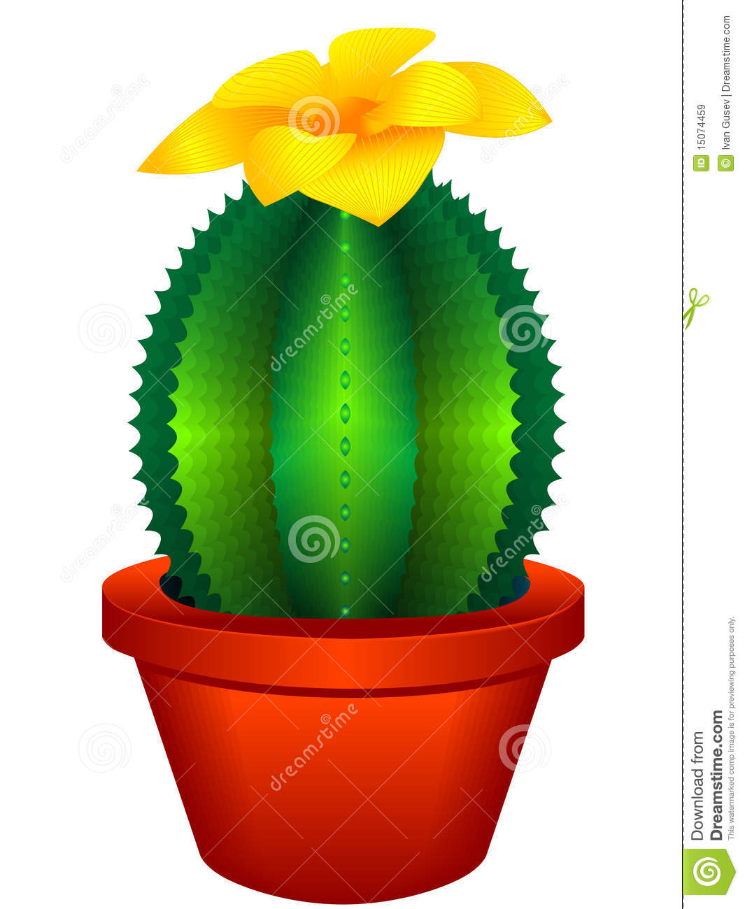 Indoor Plant A Cactus Royalty Free Stock Images   Image  15074459