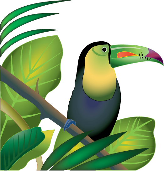 Free Clip Art  Animals   Birds   Toucan In Rainforest Color