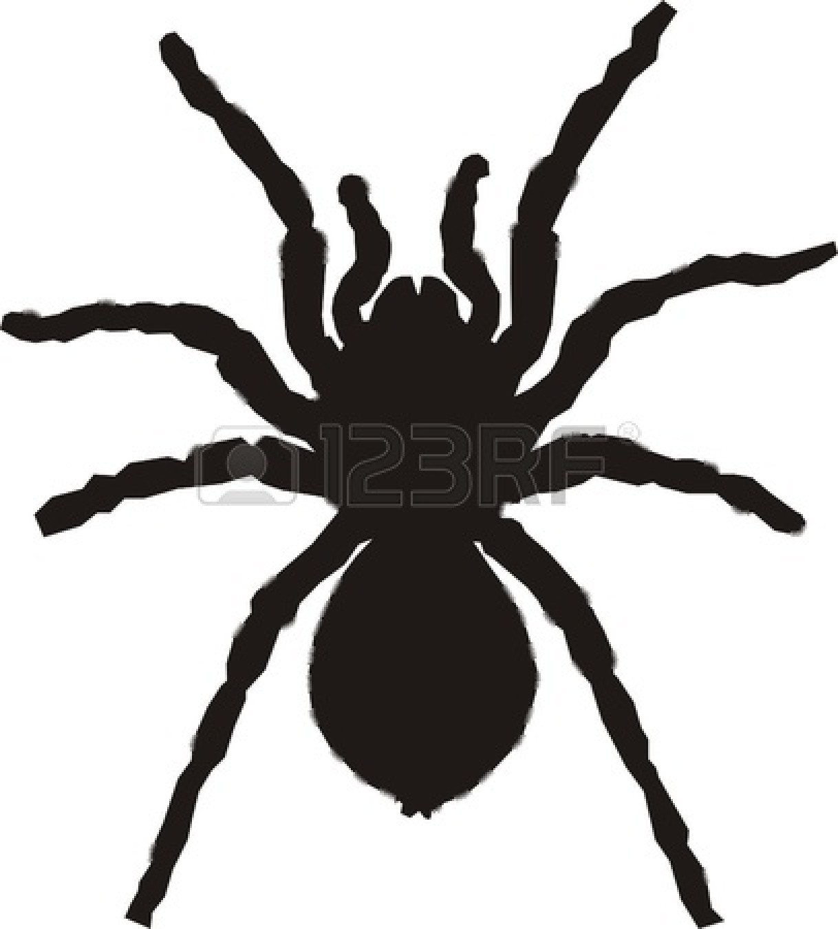 Hanging Spider Silhouette   Clipart Panda   Free Clipart Images