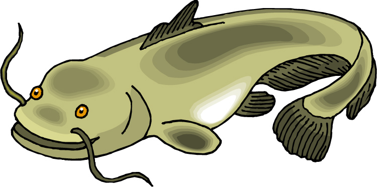 Catfish Dinner Clipart And The Catfish People Are
