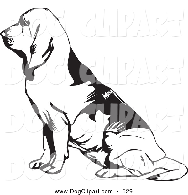 Clip Art Of A Cute And Seated Bloodhound Or St  Hubert Hound In