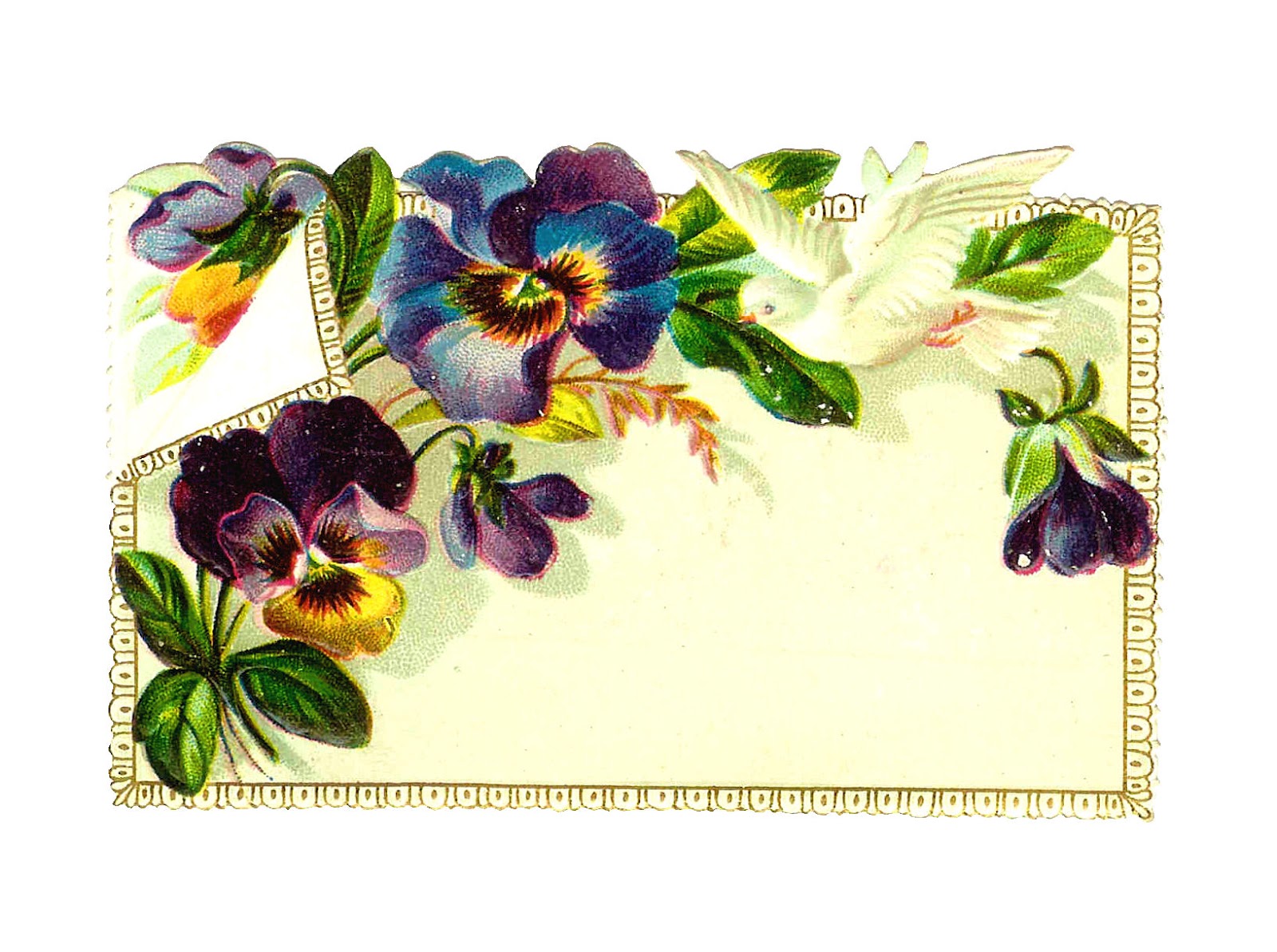 Flower Clip Art  Purple Pansies With White Dove On Victorian Note Card