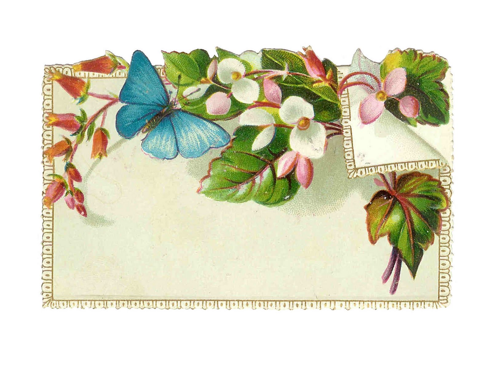 Free Antique Clip Art  Antique Note Card Ephemera With Butterfly