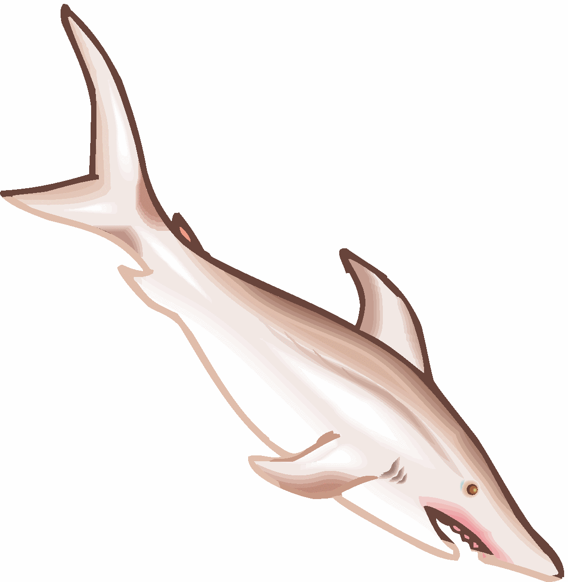 Click The Shark Clipart Image To See A Larger Version Of The Graphic