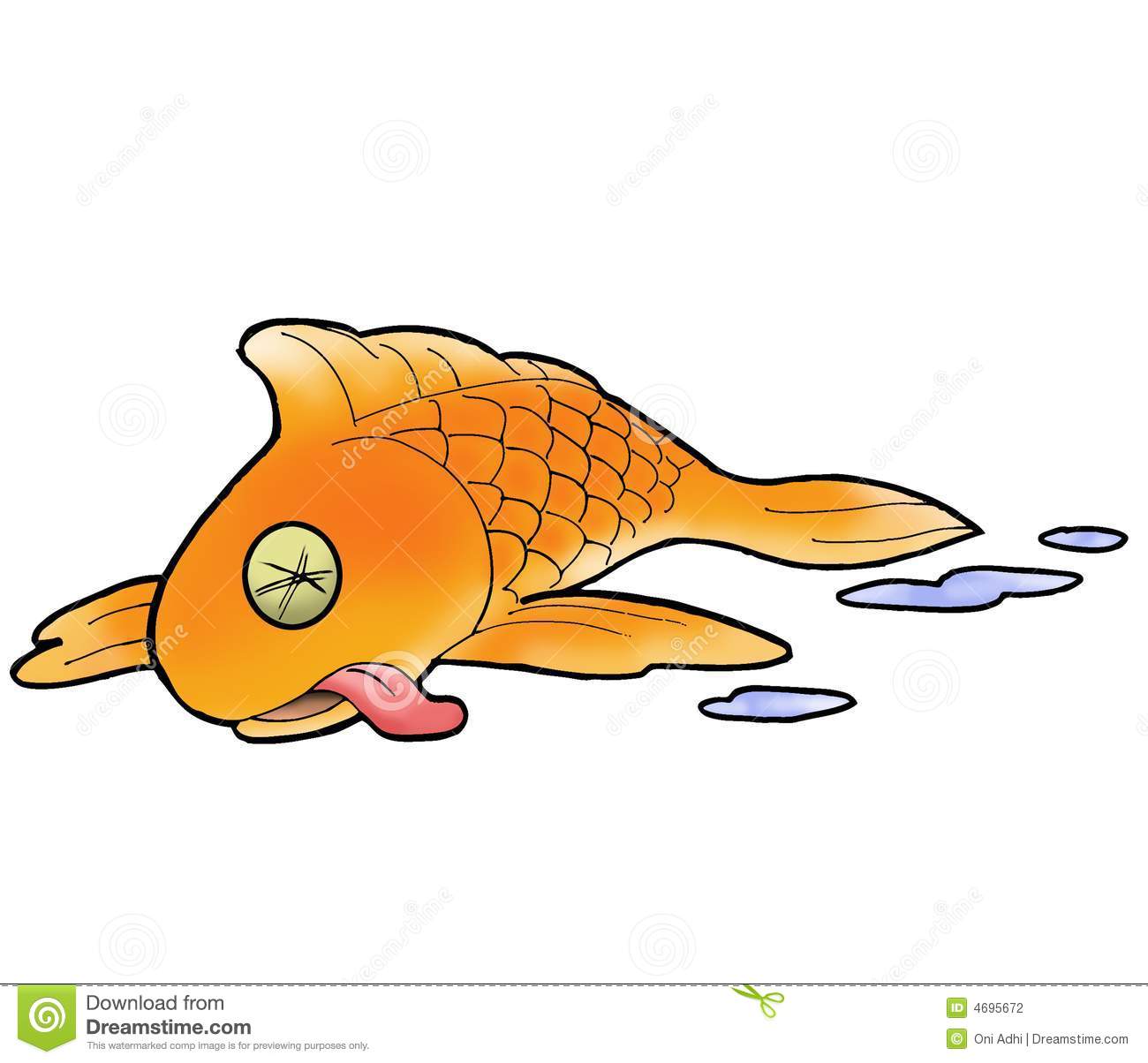 Death Fish Stock Photography   Image  4695672