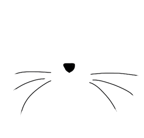 Cat Black And White Transparent Cat Whiskers Transparent Cat Trans Par