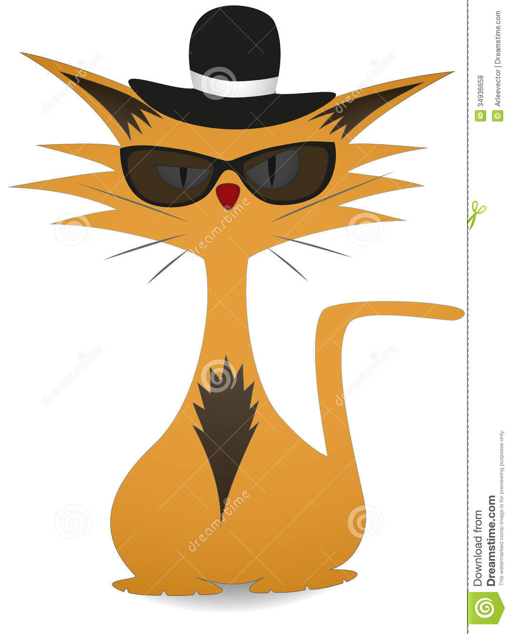 Cool Cat Royalty Free Stock Photos   Image  34936658
