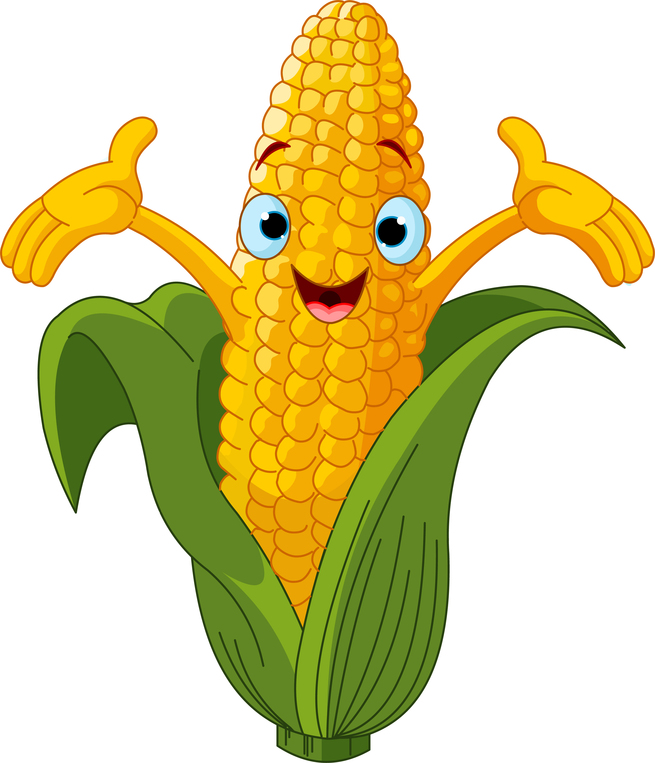 Corn Cobs  What Are They Good For