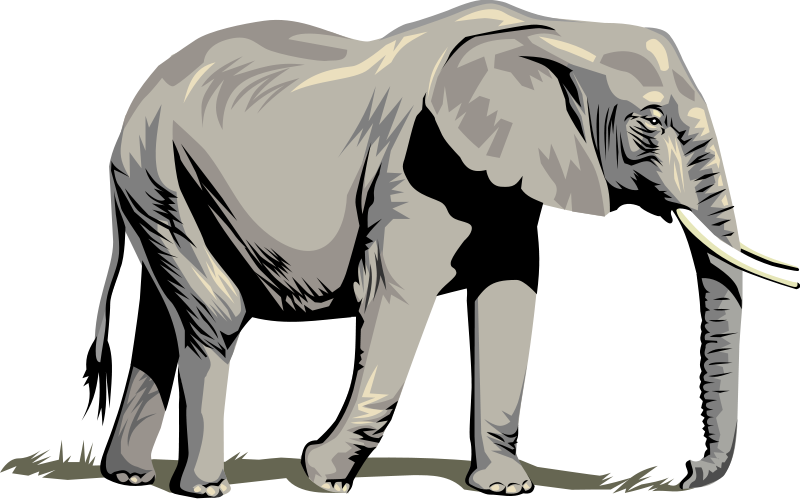 Elephant Clip Art Royalty Free Animal Images   Animal Clipart Org