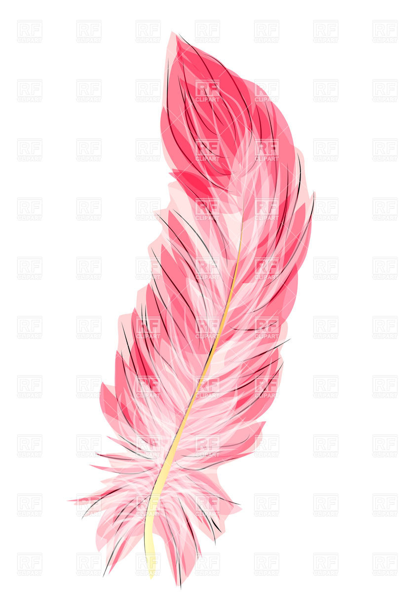 Flamingo Feather 35257 Download Royalty Free Vector Clipart  Eps