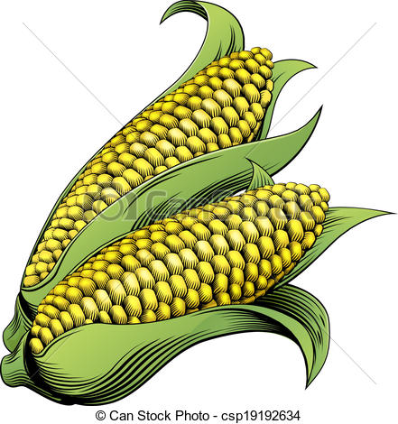 Vectors Of Corn Vintage Woodcut Illustration   A Sweet Corn Maize