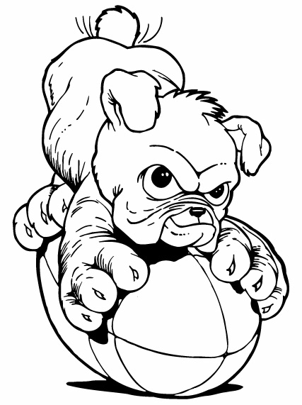 Bulldog Puppy Drawing   Clipart Panda   Free Clipart Images