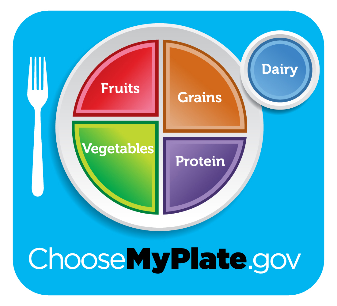 Healthy Food Plate Clipart   Cliparthut   Free Clipart