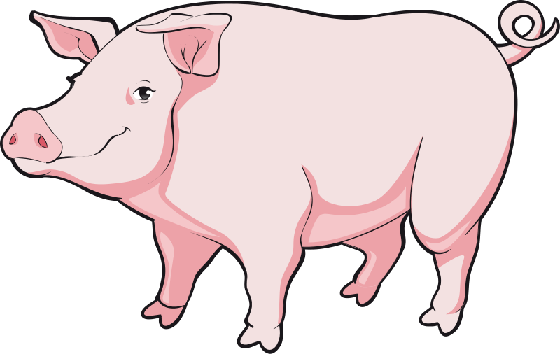 Free To Use   Public Domain Pig Clip Art
