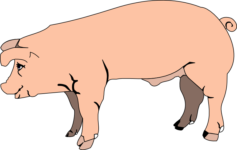Pig Clip Art   Images   Free For Commercial Use   Page 2