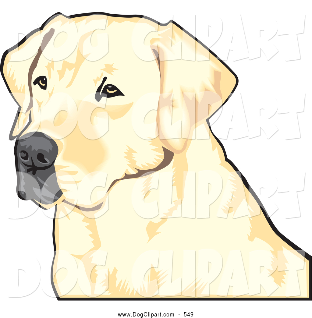 Preview  Clip Art Of A Cute Yellow Labrador Retriever Dog With A Black