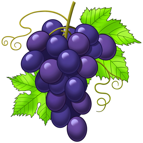 Grape Cartoon Http   Www Topillustrations Com Razzy Portfolio Grapes