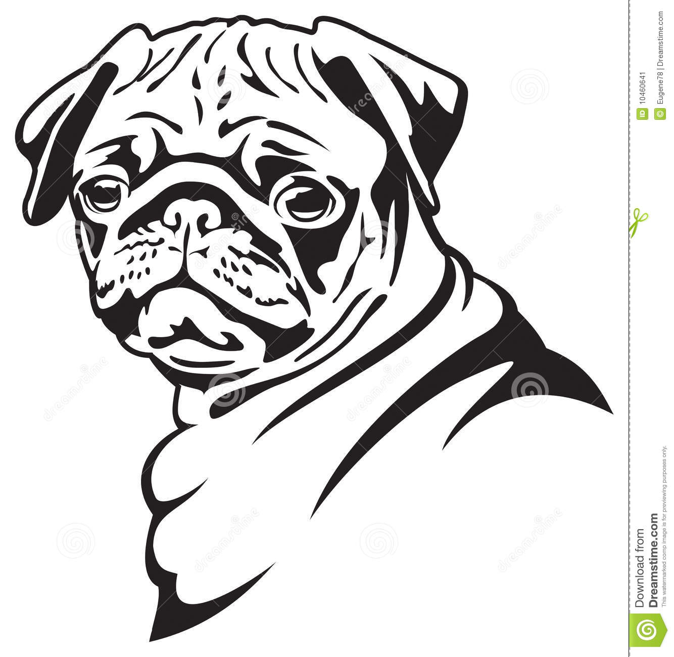 Dog  Pug Stock Image   Image  10460641