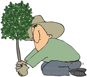 Clipart Image  Man Planting A Tree   Acclaim Stock Photography