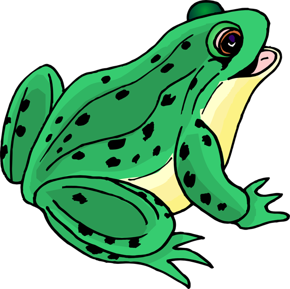 Green Frog Clip Art   Free Cliparts That You Can Download To You