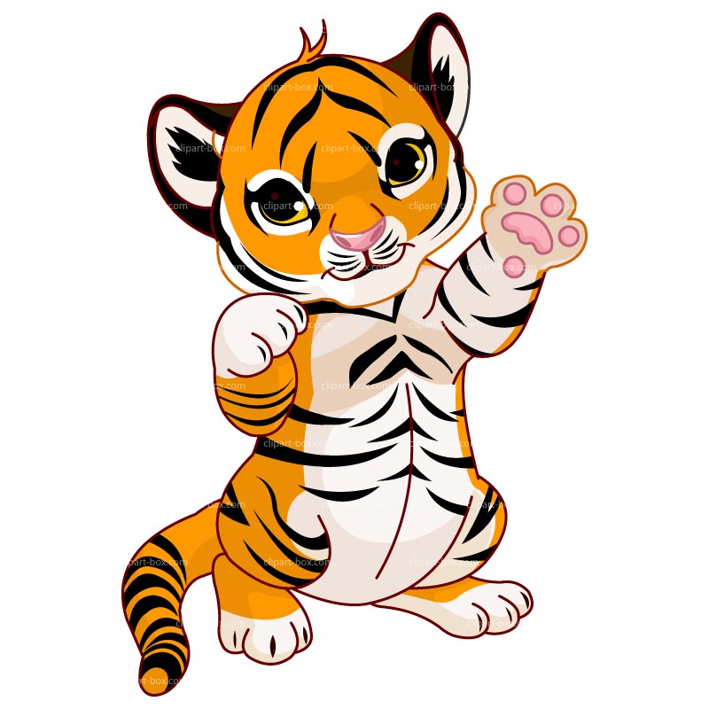 Clipart Cute Baby Tiger   Royalty Free Vector Design