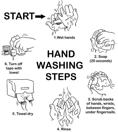 Hand Hygiene Clipart Hospital Hand Hygiene Clipart