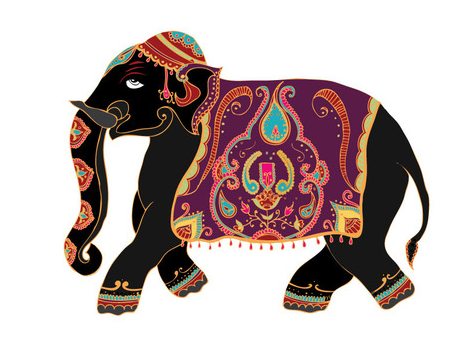 Indian Elephant Illustrations   Francesca Pecqueur